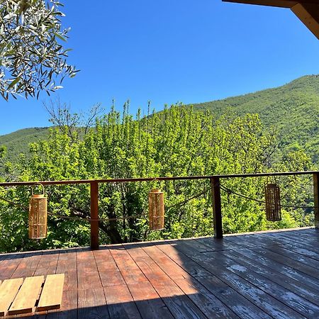 Bed and Breakfast Les Magnels Valleraugue Exterior foto
