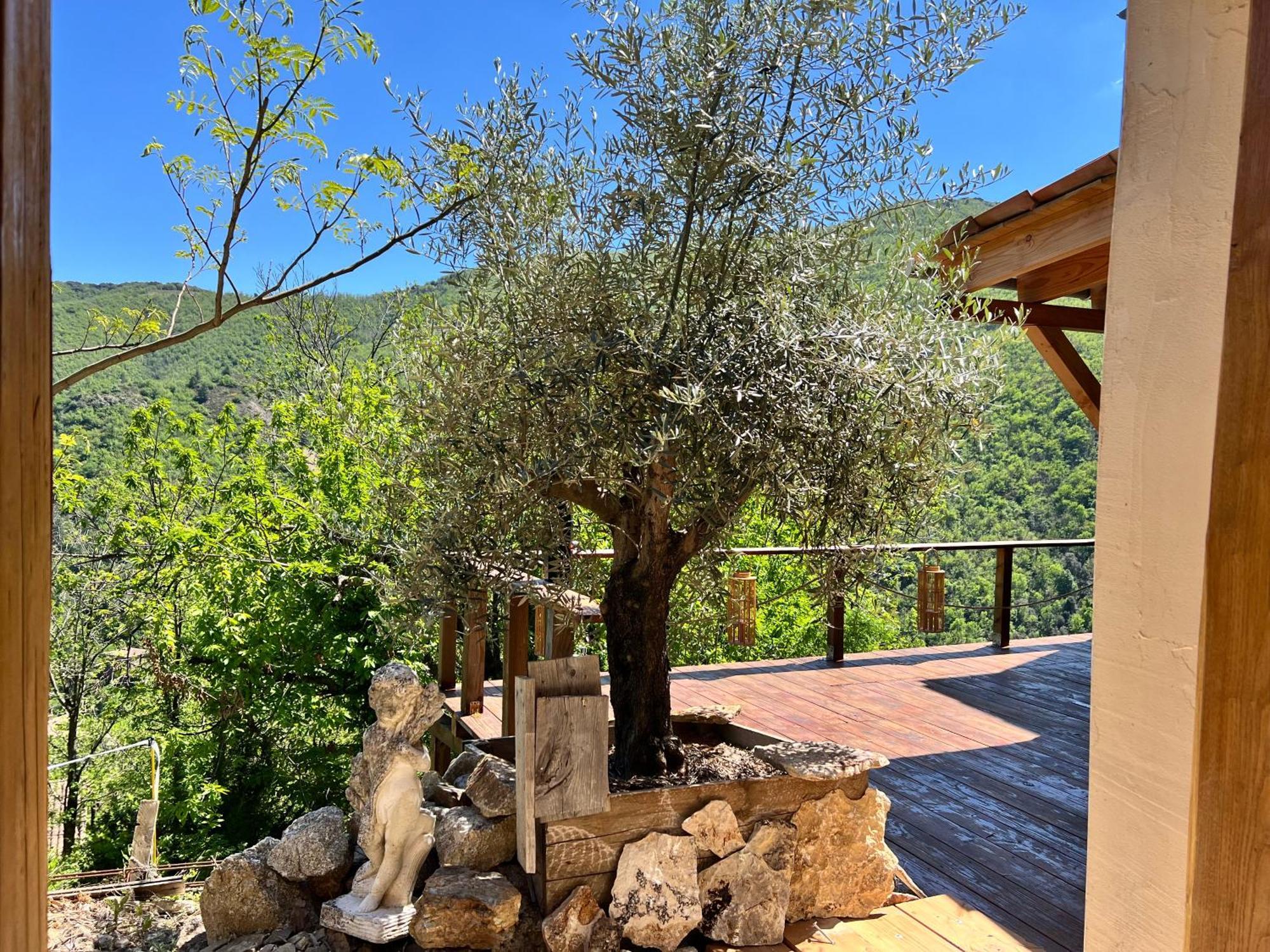 Bed and Breakfast Les Magnels Valleraugue Exterior foto